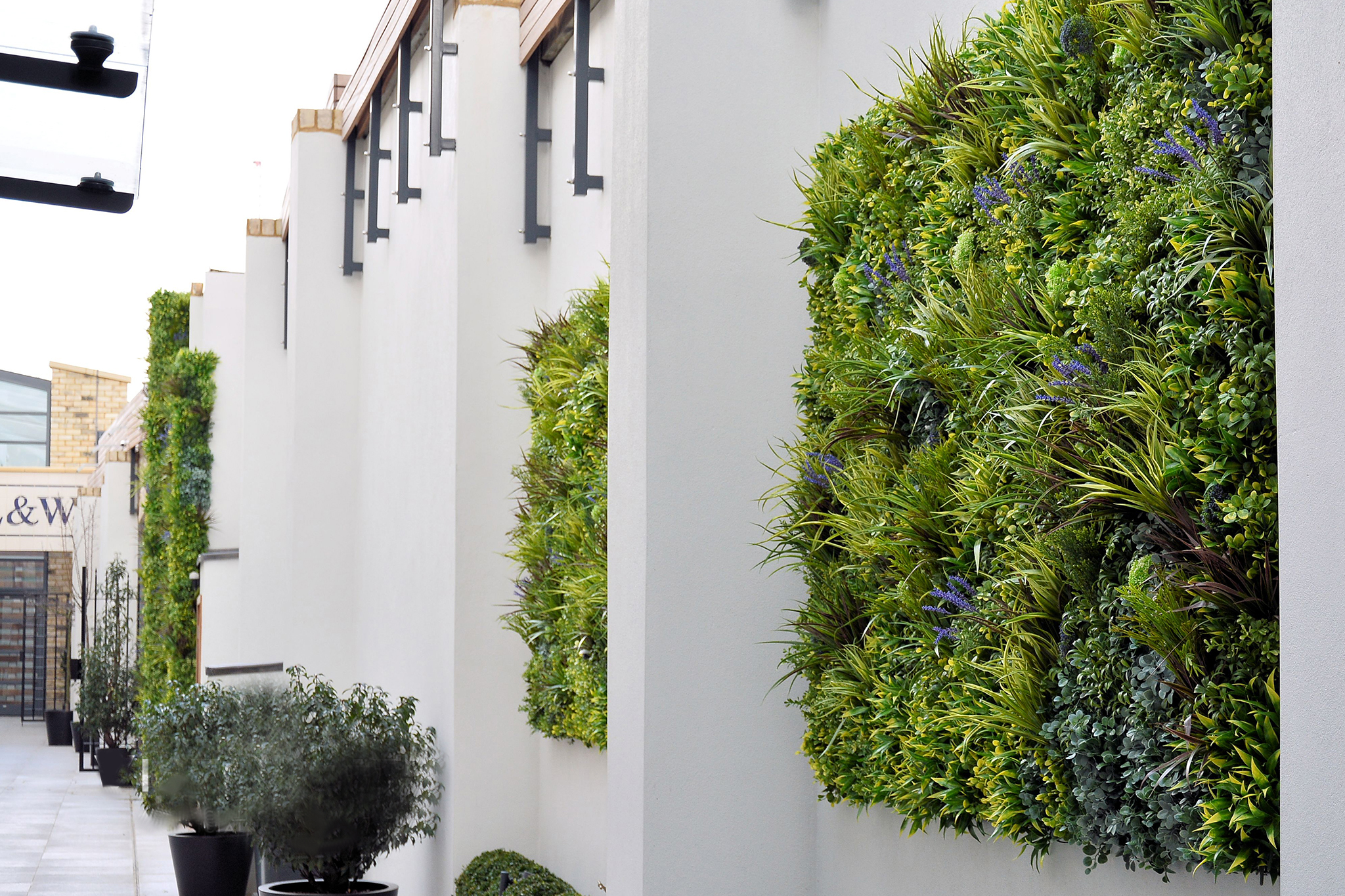 Residential Green Wall Solution